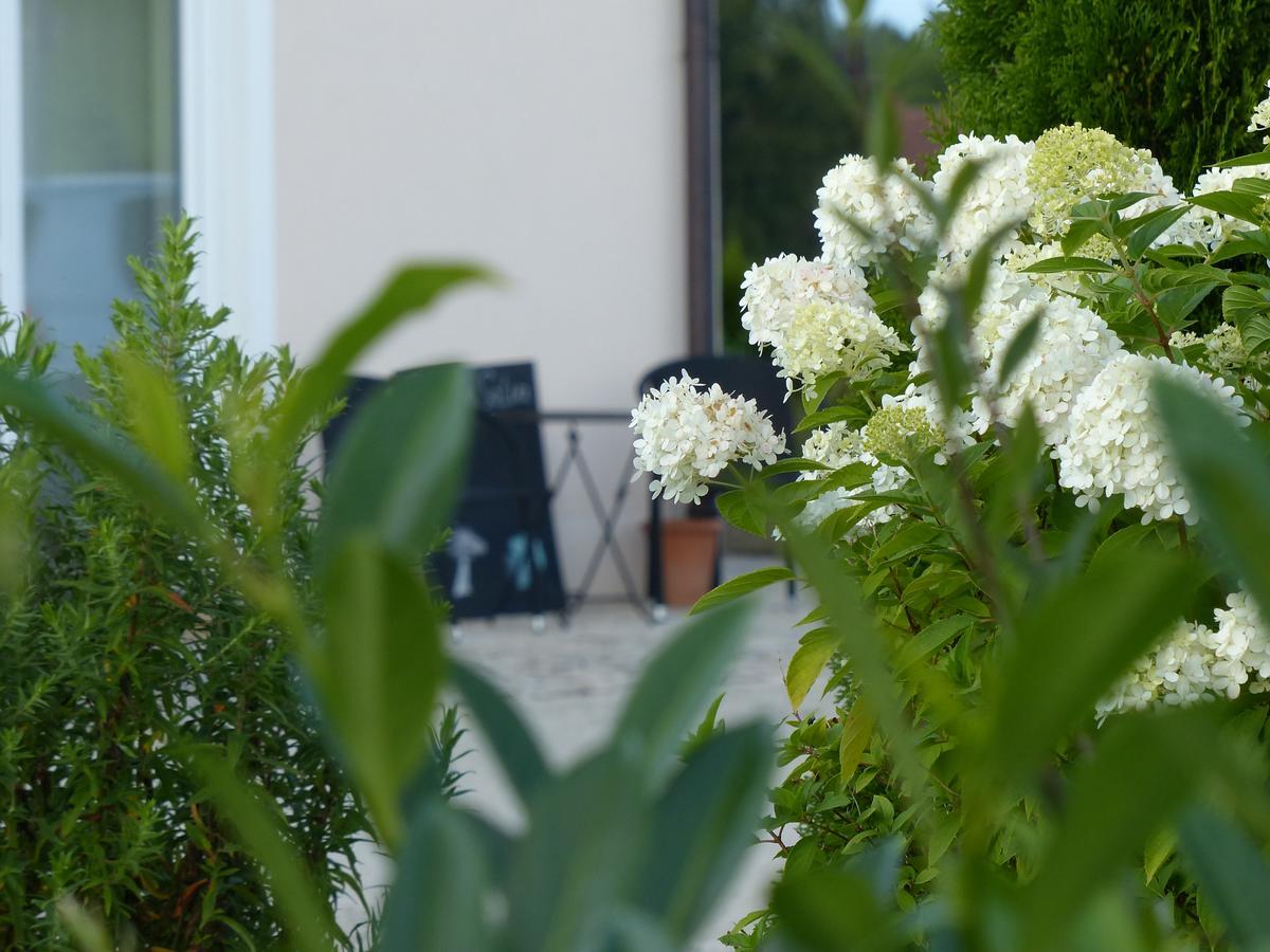 Apartament Sana E Salva Eckersdorf Zewnętrze zdjęcie